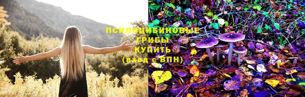 apvp Нея