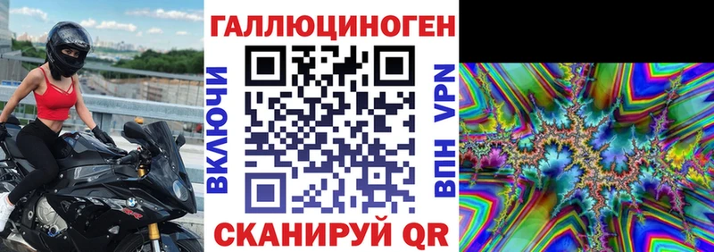 Псилоцибиновые грибы Psilocybe  Сертолово 