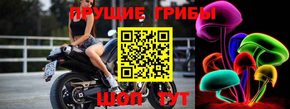 Галлюциногенные грибы мухоморы  Вход с VPN  Галлюциногенные грибы GOLDEN TEACHER  Сертолово 